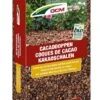 DCM Cacaodoppen