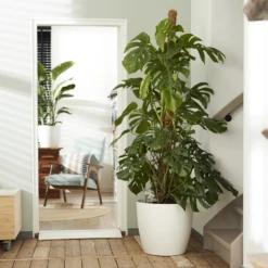 Beste Tuinmeubilair Winkel -Beste Tuinmeubilair Winkel elho brussels rond wielen 40 wit bloempot 6 7