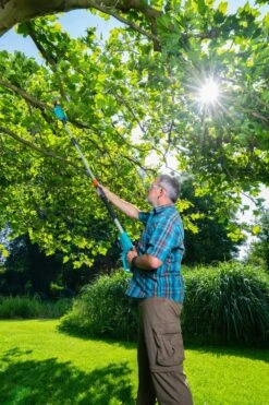 GARDENA Accu Telescopische Snoeizaag TCS 20/18 P4A Set 6 GARDENA Accu Telescopische Snoeizaag TCS 20/18 P4A Set -Beste Tuinmeubilair Winkel gardena accu telescopische snoeizaag tcs 20 18 p4a set 1000x1500 640af32266025 l