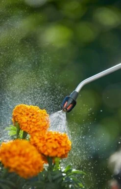 GARDENA Drukspuit 5 L -Beste Tuinmeubilair Winkel gardena drukspuit 5 l 1619704865 1 l