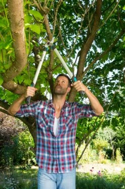 GARDENA Takkenzaag EasyCut 680 B (12003 + 8754 E12) -Beste Tuinmeubilair Winkel gardena takkenschaar easycut 680 b 8754 1000x1500 640af7ec497bd l