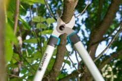 GARDENA Takkenzaag EasyCut 680 B (12003 + 8754 E12) -Beste Tuinmeubilair Winkel gardena takkenschaar easycut 680 b 8754 1500x1001 640af7ebad3ab l