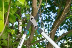 GARDENA Takkenschaar EnergyCut 750 B -Beste Tuinmeubilair Winkel gardena takkenschaar energycut 750 b 1500x1000 640af848a316f l