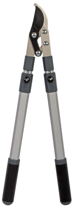 Talen Tools Takkenschaar Voorbijsnijdend Telescopisch